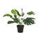 Green Plastic Traditional Artificial Foliage, 16" x 21" x 20"